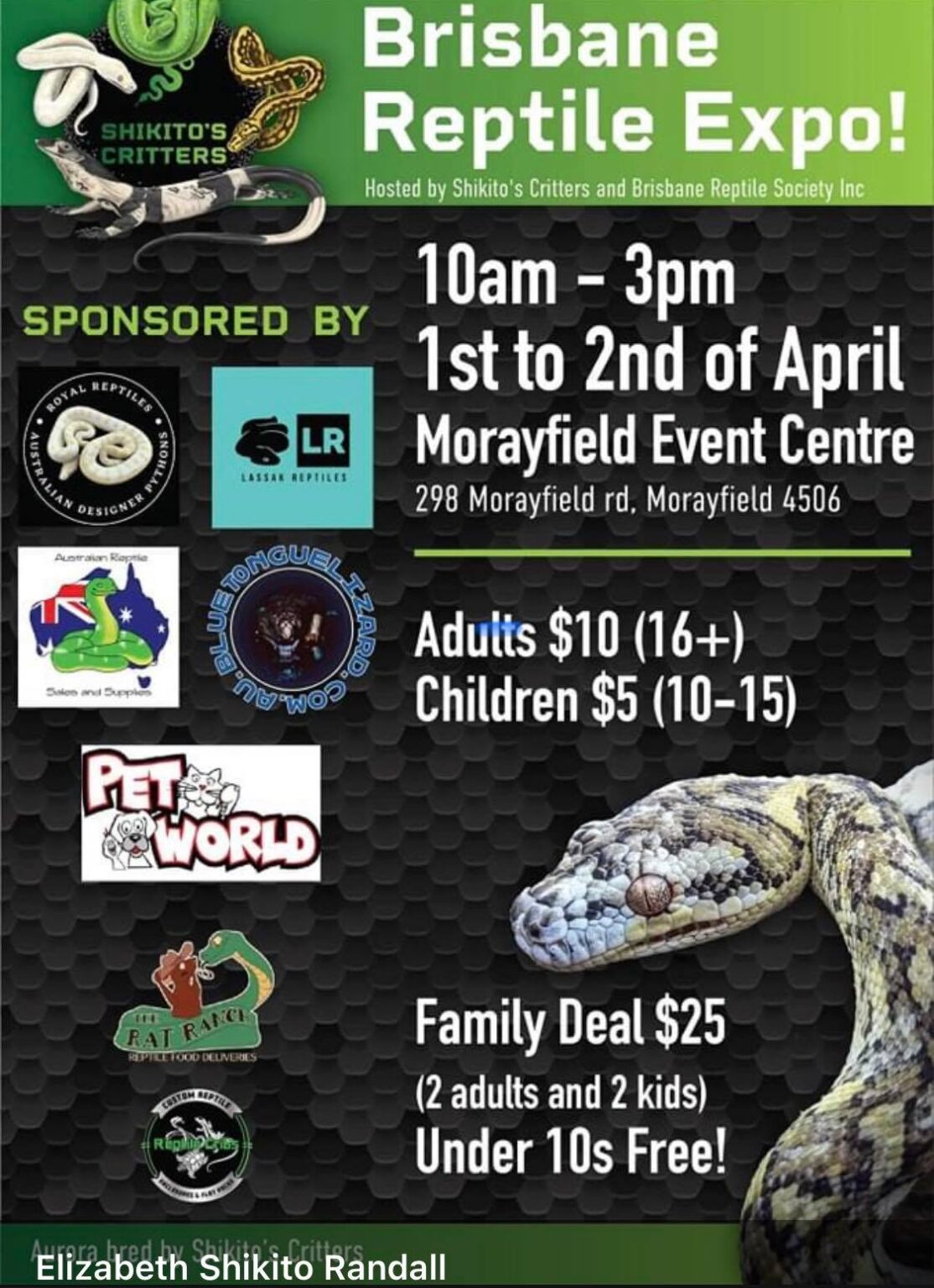 Brisbane Reptile Expo Cool Vibes Reptiles